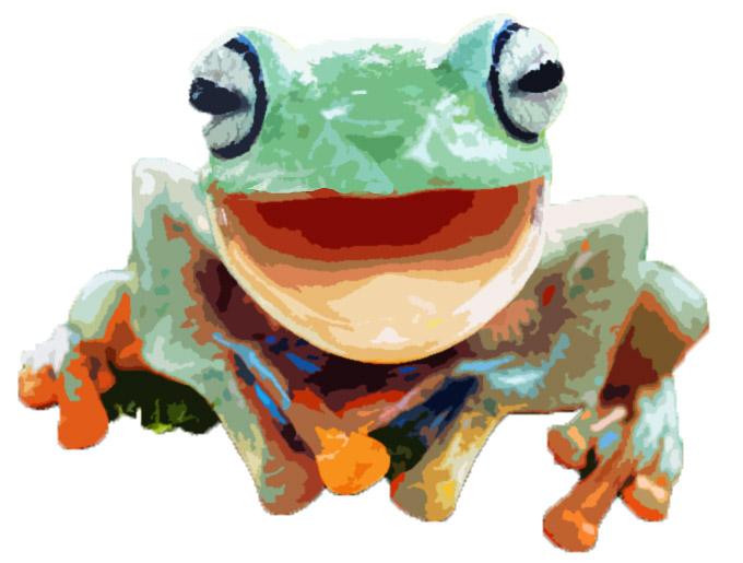 Frogs were one of the Ten Plagues